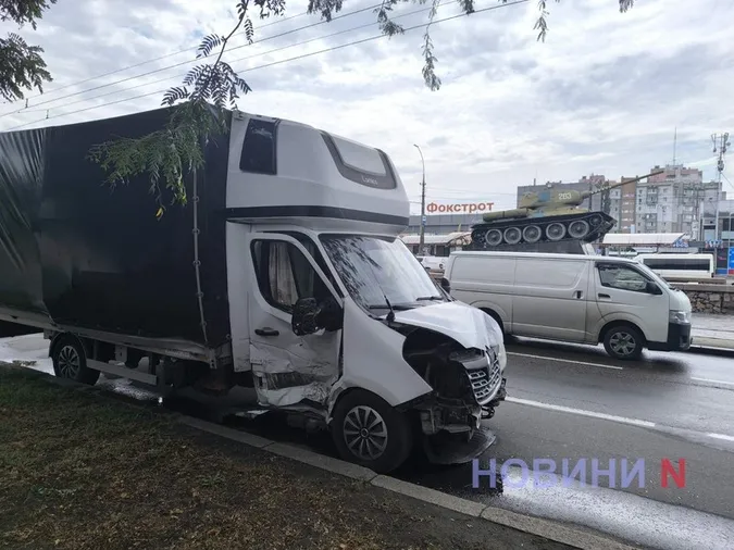 Автівка з Волині перевозила заморожених мертвих собак і потрапила в ДТП