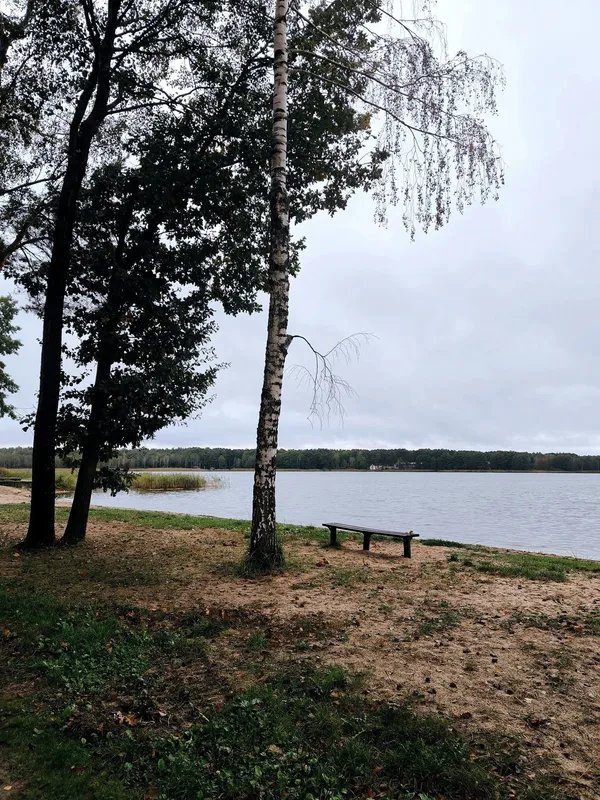 По-осінньому захмурене: показали краєвиди популярного на Волині озера (фото)