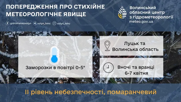 На Волинь сунуть заморозки – рослини у небезпеці
