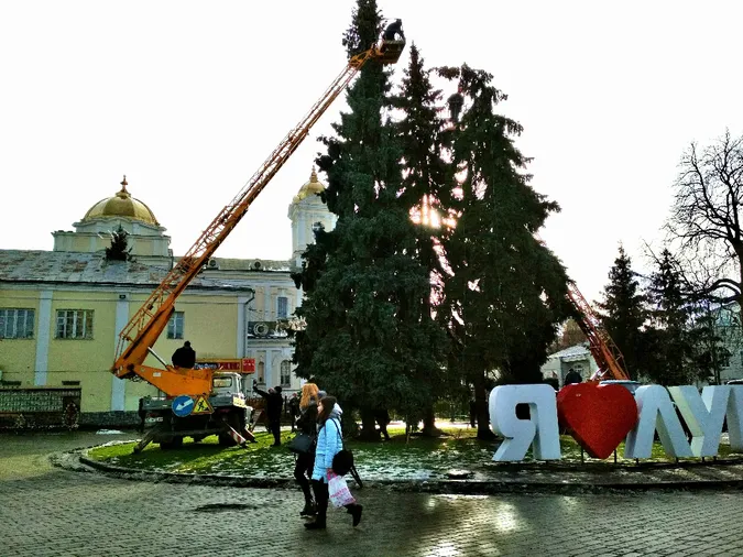 У Луцьку просять недоторканності для головних ялинок міста (петиція)