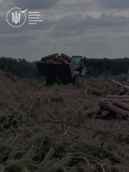 Дерева перестали рости: у Луцькому районі виявили незаконну вирубку лісів (фото)