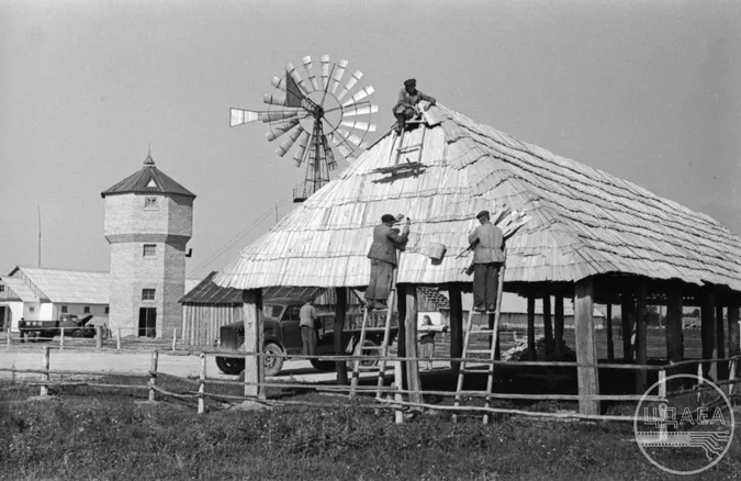 Як жила Волинь у 50-х: колгоспи, шахти і репресії (ретрофото)