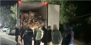 На Одещині іноземці перевозили ухилянтів у рефрижераторі з м'ясом (фото)