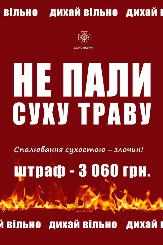 На Волині за день ліквідували 6 пожеж сухостою