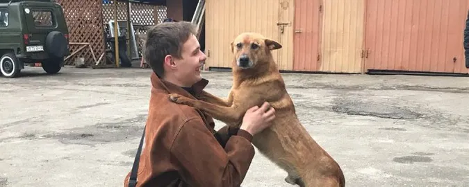 У Луцьку з триметрової ями рятували собаку, який злякався салютів