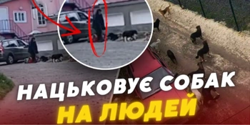 Б'є лопатою та нацьковує собак: у Ковелі жителі скаржаться на агресивного безхатька (відео)