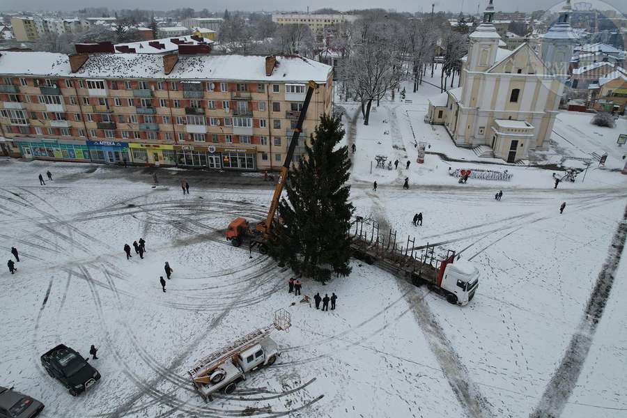 🎄 У Володимирі встановили головну ялинку міста (фото)