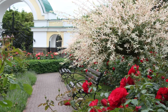 Казковий розарій розквітнув у луцькому соборі (фото)