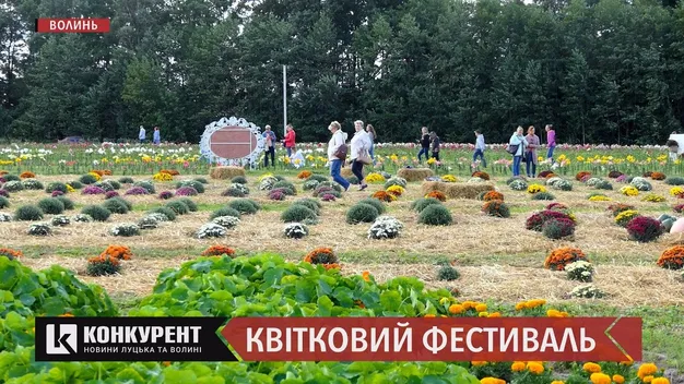 Свято квітів у «Волинській Голландії» продовжиться після перерви