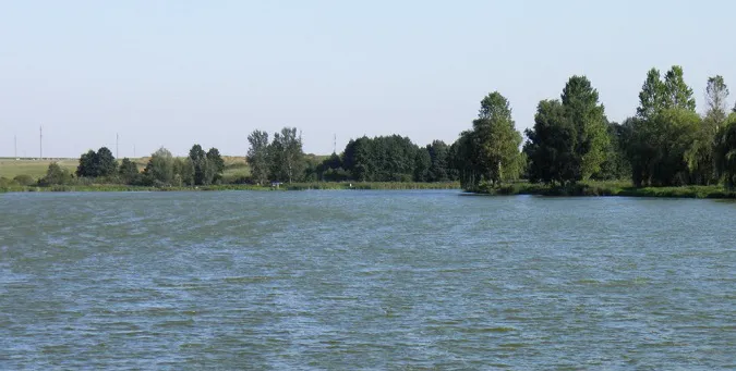 У ставку в Затурцях потонула 11-річна  дитина