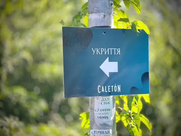 В Одесі відкрили пляжі (фото)