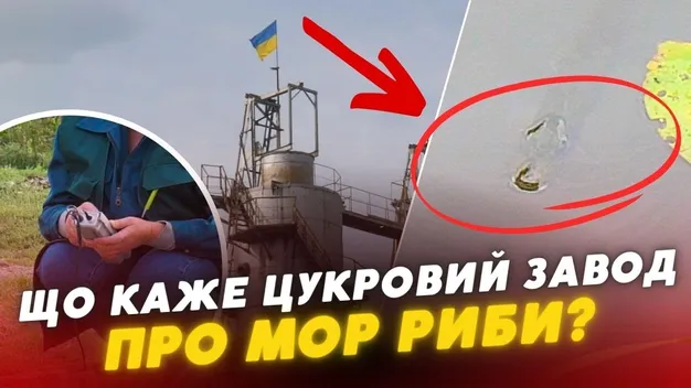 Під Луцьком риба дохне у ще одному селі: звинувачують цукровий завод (відео)