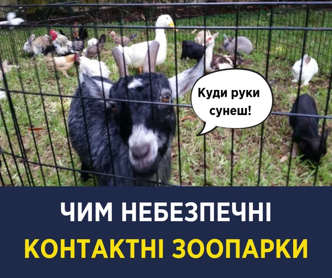 Вони небезпечні: Супрун закликала не відвідувати зоопарки