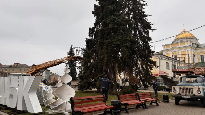 🎄У центрі Луцька вже почали прикрашати ялинки (фото)