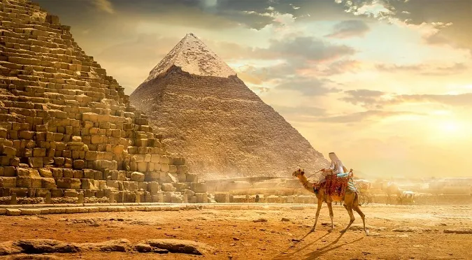 Науковці розгадали таємницю бабуїнів Стародавнього Єгипту