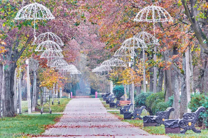 Жовтогаряча осінь у луцькому парку (фото)