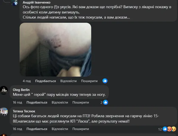 У Луцьку на ЛПЗ зграя собак покусала дитину – мешканці б'ють на сполох (фото)