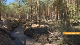 Бурштинове свавілля: нелегальні копачі нищать ліси на Рівненщині (відео)