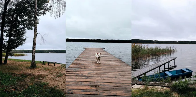 По-осінньому захмурене: показали краєвиди популярного на Волині озера (фото)