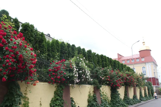 Казковий розарій розквітнув у луцькому соборі (фото)