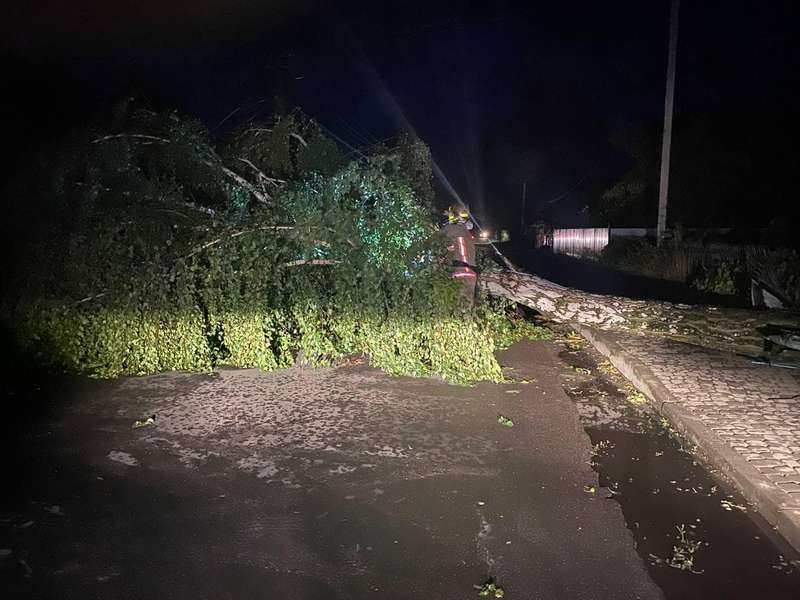 Повалені дерева, затоплені автомобілі, обірвані лінії електропостачання: на Волині вирувала негода (фото)