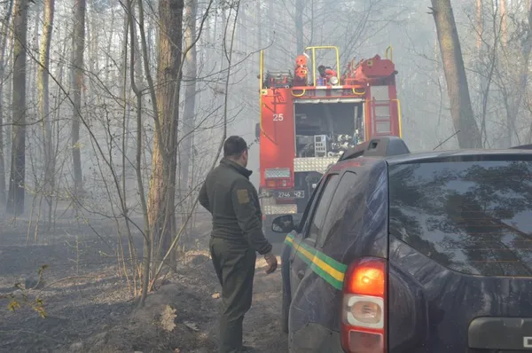 Отруйний дим, спалені поля і ліс: на Волині підпалили два смітники (фото, відео)