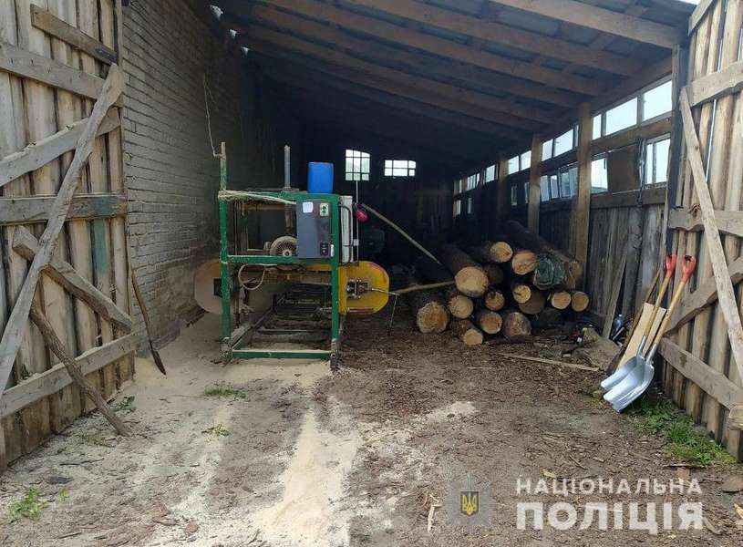 На пилорамі у Ковельському районі знайшли майже 50 колод сосни без документів (фото)