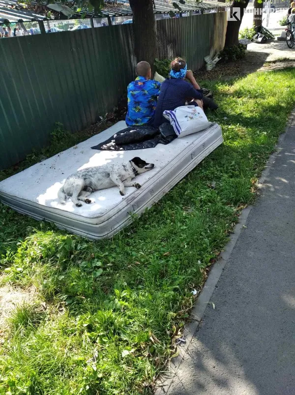 На Львівській розгребли звалище біля смітників (фотофакт)