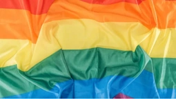 🌈Луцька креативна агенція Partyzan публічно підтримала ЛГБТ-спільноту