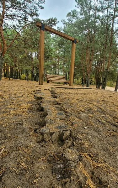 На Волині вандали знищили частину екостежки у нацпарку (фото)