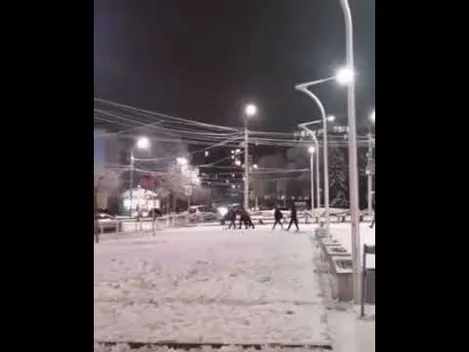 У Луцьку молодь «дрифтувала» на візку із супермаркету (відео)