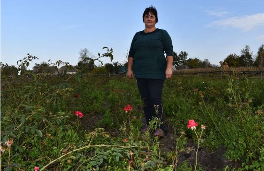 На Любешівщині сім'я висадила плантацію троянд