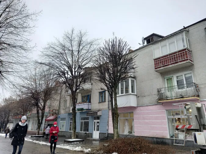 У Луцьку тестують «правильне» кронування дерев (фото)