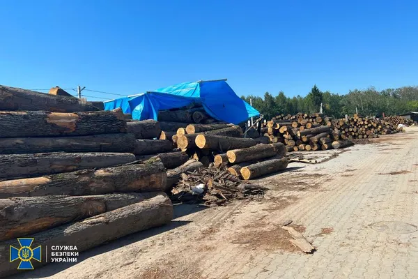 Очільник нацпарку на Волині та підприємець організували рубки цінних порід дерев для експорту в ЄС (фото, відео)