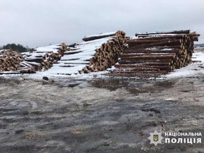 На Волині вилучили деревини сумнівного походження на понад 800 тисяч (фото)