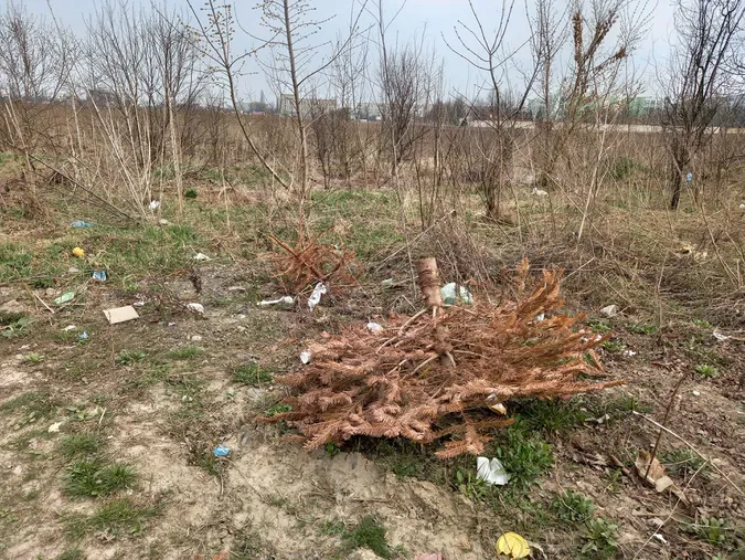 Лучани влаштували сміттєзвалище біля Нового ринку (фото)