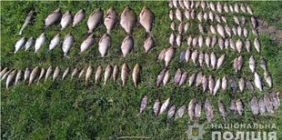 Сітками з човна: у Луцькому районі браконьєр наловив риби на 200 тисяч гривень (фото)