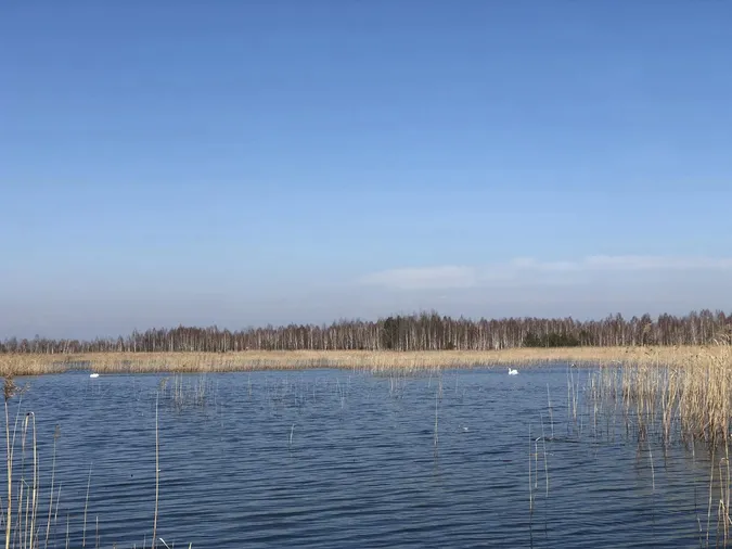 На Волині є невелике мальовниче озеро, де водиться багато риби