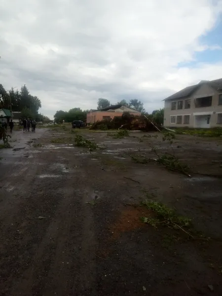Негода на Волині порозкривала хати та повалила дерева (фото, відео)