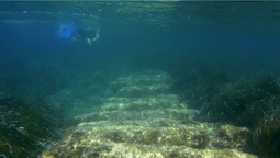 Вчені показали, який вигляд має найстаріше підводне місто у світі (відео)