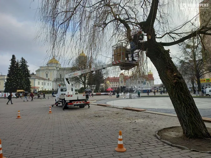 У центрі Луцька прикрашають вогниками дві верби (фото)