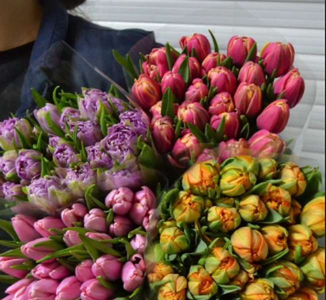Де у Луцьку недорого купити квіти до свята (адреси, ціни)