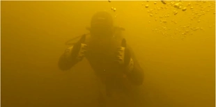 Що підіймають водолази з дна Стиру та хто там живе (відео)