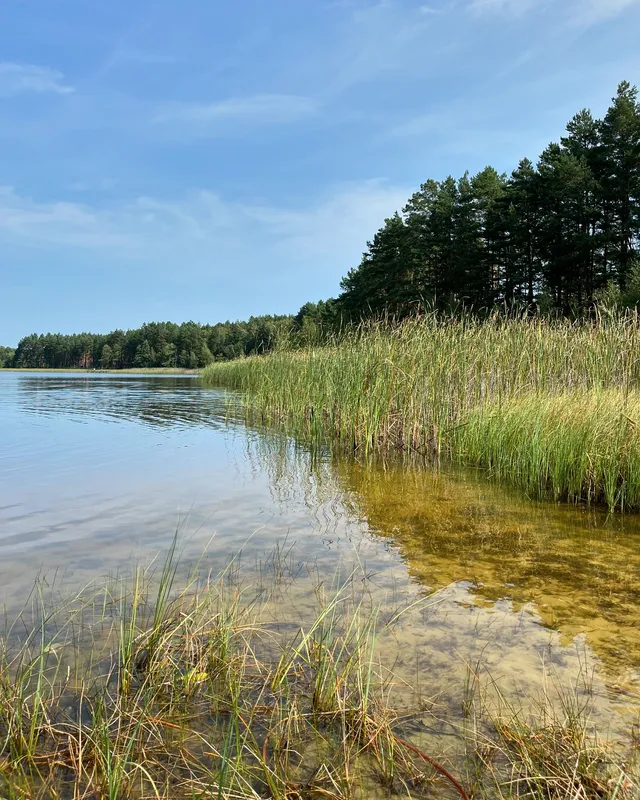 У воді – багато мінералів: на Волині є озеро, в якому повно риби (фото)