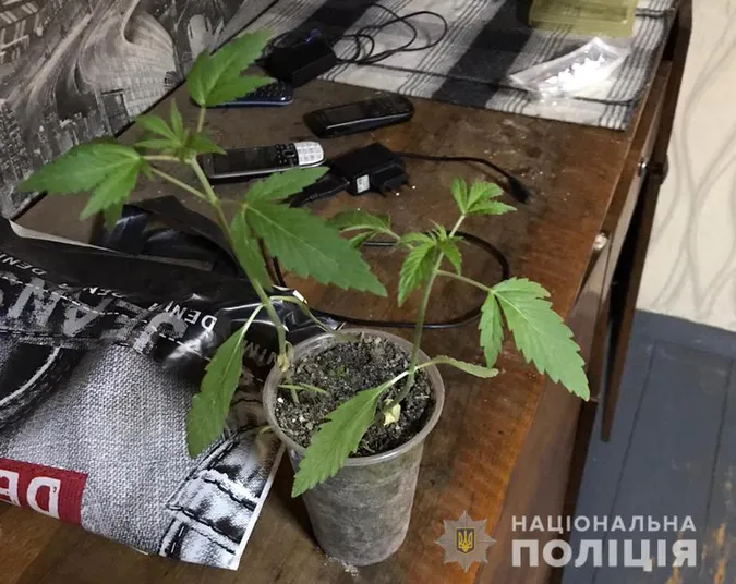 У Ківерцях спіймали наркоторговця (фото)