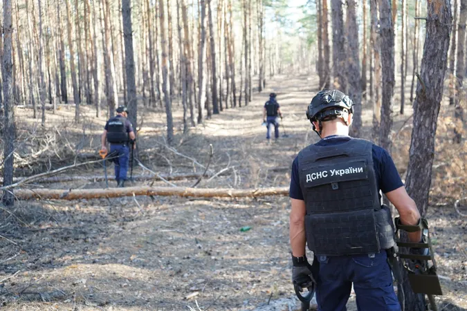 Як сапери з Волині розміновують ліс на Донеччині (фото)