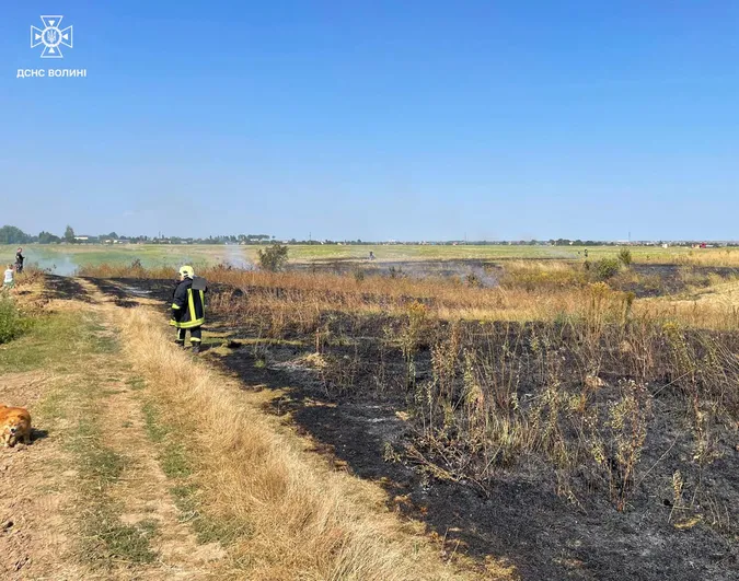 У трьох волинських селах – масштабні пожежі на полях (фото)