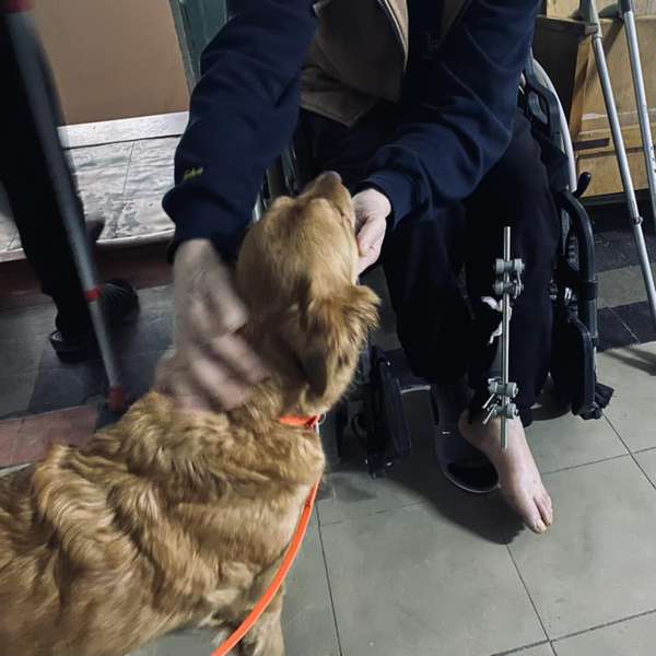 Емоційна реабілітація постраждалих: в Міноборони порадили медикам залучати собак (фото)