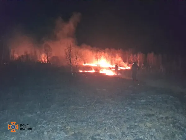 Вогонь знищує гектари: на Волині палають поля та очерет (фото)