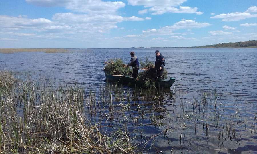 На озері Пулемецьке провели акцію із встановлення штучних нерестовищ